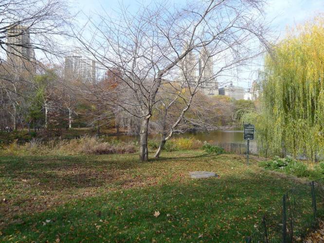USA_2011-11-20 12-27-14